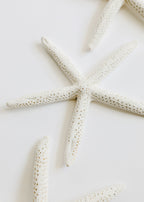 Starfish