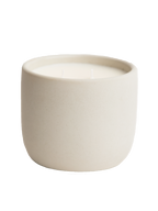 Frosted Cranberry Cement Candle