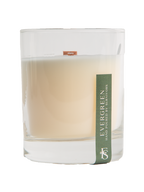Evergreen Wooden Wick Candle