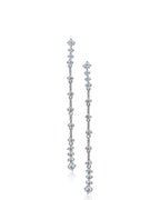 Linear Drop  Earrings