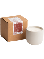 Spiced Cider Cement Candle