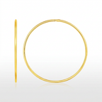 Endless Hoop Style Earring in 14K Yellow Gold