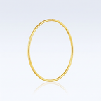 Endless Hoop Style Earring in 14K Yellow Gold