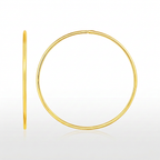 Endless Hoop Style Earring in 14K Yellow Gold